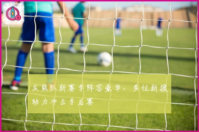 灰熊队新赛季阵容豪华，多位新援助力冲击季后赛